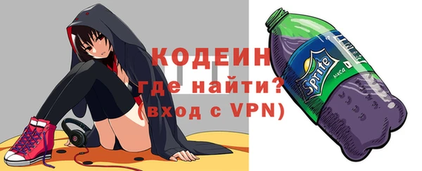 индика Вязьма