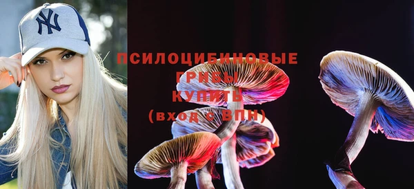 экстази Новозыбков