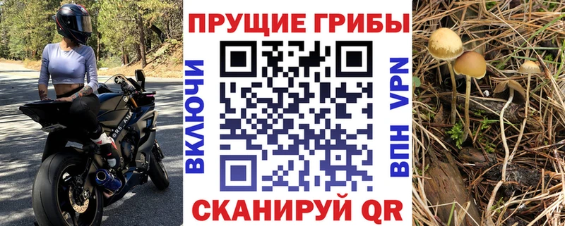 маркетплейс телеграм  Белово  Псилоцибиновые грибы GOLDEN TEACHER  даркнет сайт 