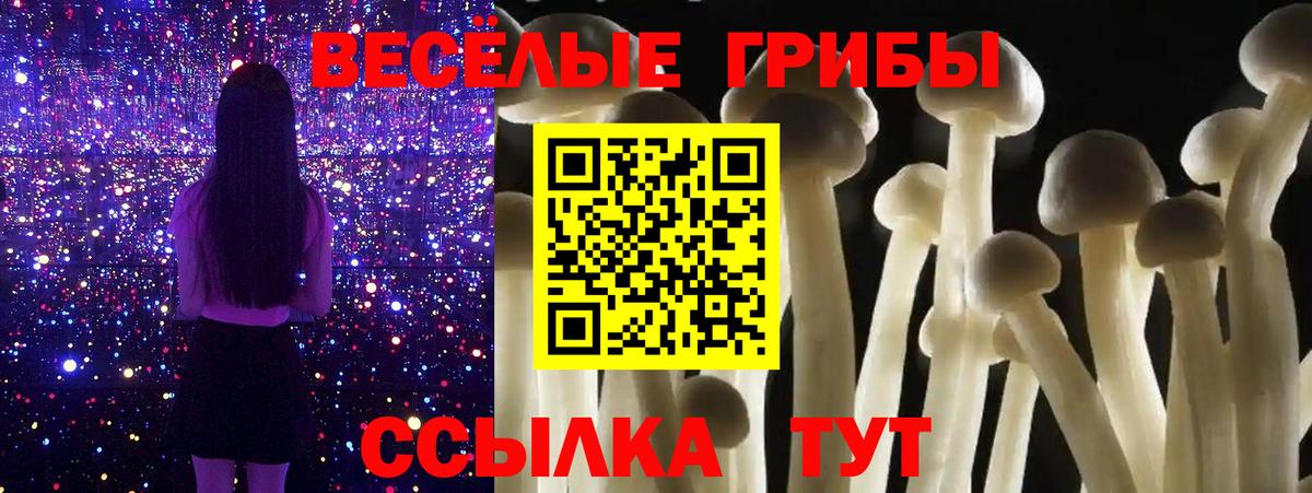 Галлюциногенные грибы Psilocybine cubensis Белово
