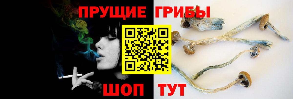 Псилоцибиновые грибы Psilocybe  Вход с VPN  Белово 